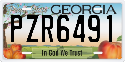 GA license plate PZR6491