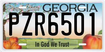 GA license plate PZR6501