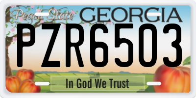 GA license plate PZR6503