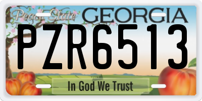 GA license plate PZR6513