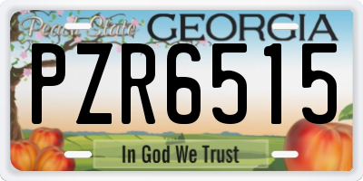 GA license plate PZR6515