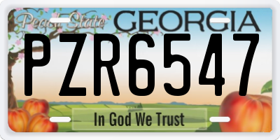 GA license plate PZR6547
