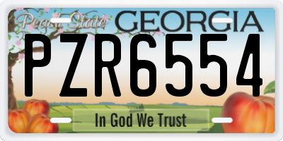 GA license plate PZR6554
