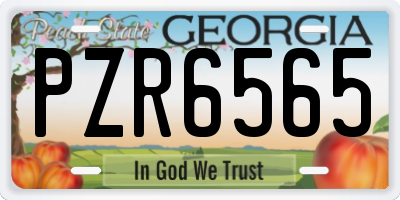 GA license plate PZR6565