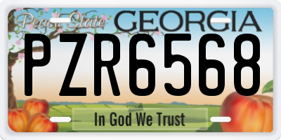 GA license plate PZR6568