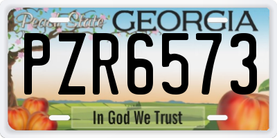 GA license plate PZR6573