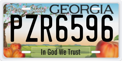 GA license plate PZR6596