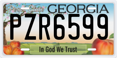 GA license plate PZR6599