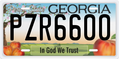 GA license plate PZR6600