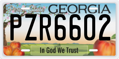 GA license plate PZR6602