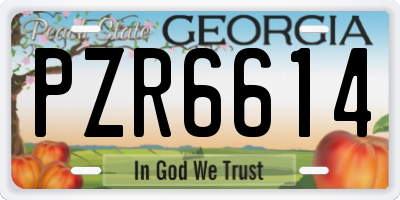 GA license plate PZR6614