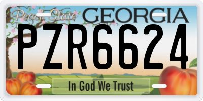 GA license plate PZR6624