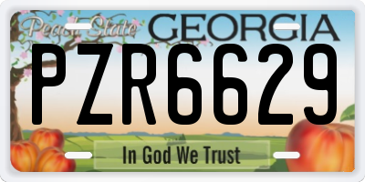 GA license plate PZR6629