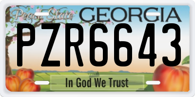 GA license plate PZR6643