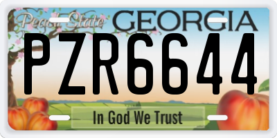 GA license plate PZR6644