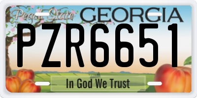 GA license plate PZR6651