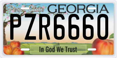 GA license plate PZR6660