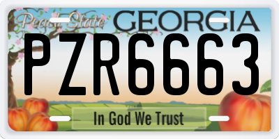 GA license plate PZR6663
