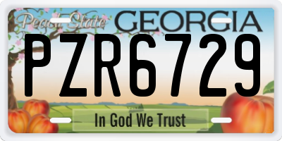 GA license plate PZR6729