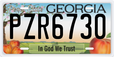 GA license plate PZR6730