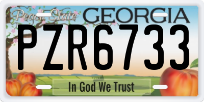 GA license plate PZR6733