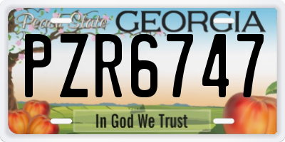 GA license plate PZR6747
