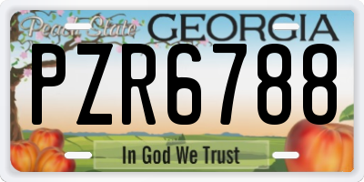 GA license plate PZR6788