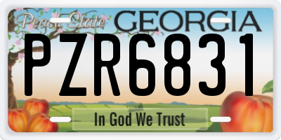 GA license plate PZR6831