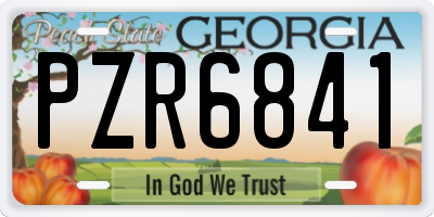 GA license plate PZR6841