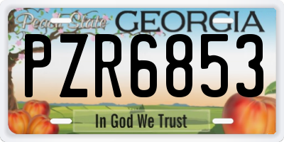 GA license plate PZR6853