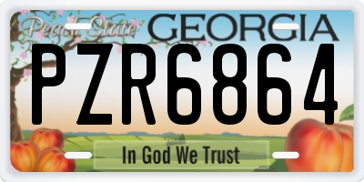 GA license plate PZR6864