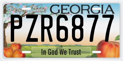 GA license plate PZR6877