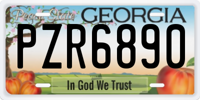 GA license plate PZR6890