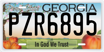 GA license plate PZR6895