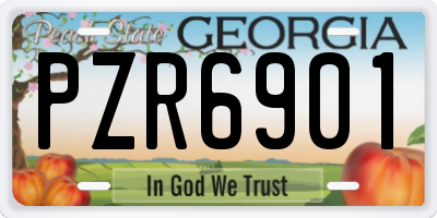 GA license plate PZR6901
