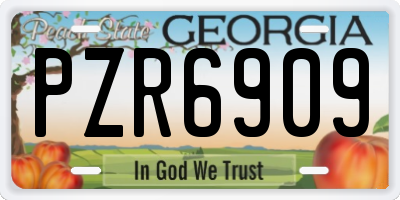 GA license plate PZR6909