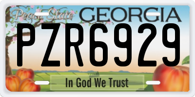 GA license plate PZR6929
