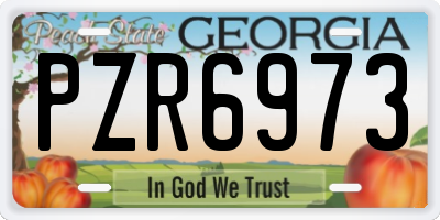 GA license plate PZR6973