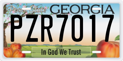 GA license plate PZR7017