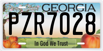 GA license plate PZR7028