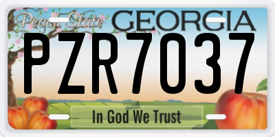 GA license plate PZR7037