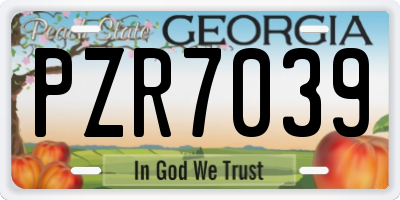 GA license plate PZR7039