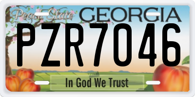 GA license plate PZR7046