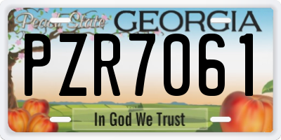 GA license plate PZR7061
