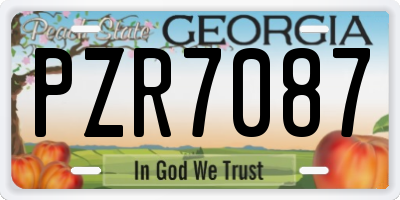 GA license plate PZR7087