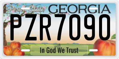 GA license plate PZR7090