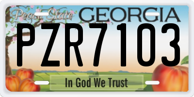 GA license plate PZR7103