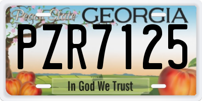 GA license plate PZR7125