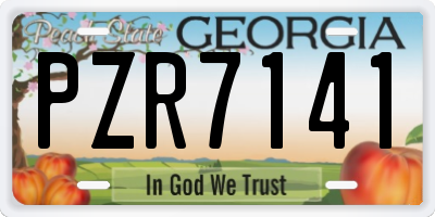 GA license plate PZR7141