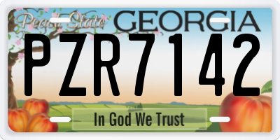 GA license plate PZR7142